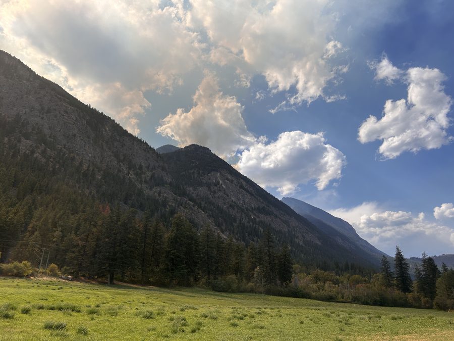 Ground photo