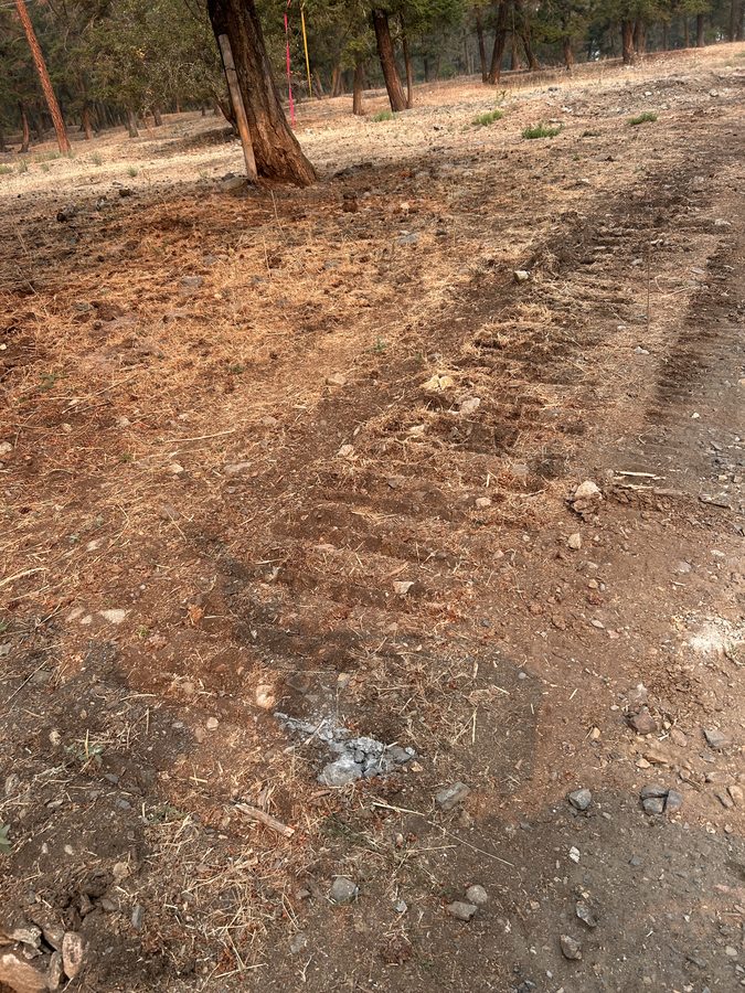 Ground photo
