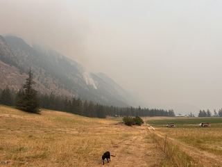 Photo taken 6 aug 8:49am