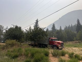Photo taken 6 aug 1:42pm