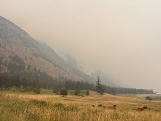 Photo taken 7 aug 8:21am